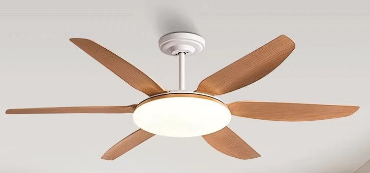 AeroGlow Modern Ceiling Fan Light