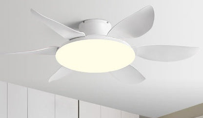 AeroGlow Modern Ceiling Fan Light
