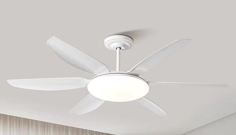 AeroGlow Modern Ceiling Fan Light