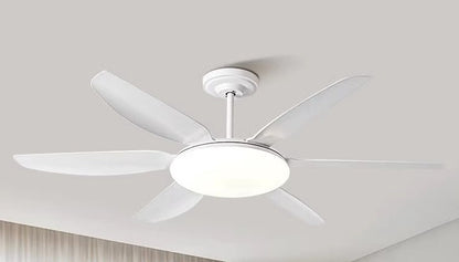 AeroGlow Modern Ceiling Fan Light