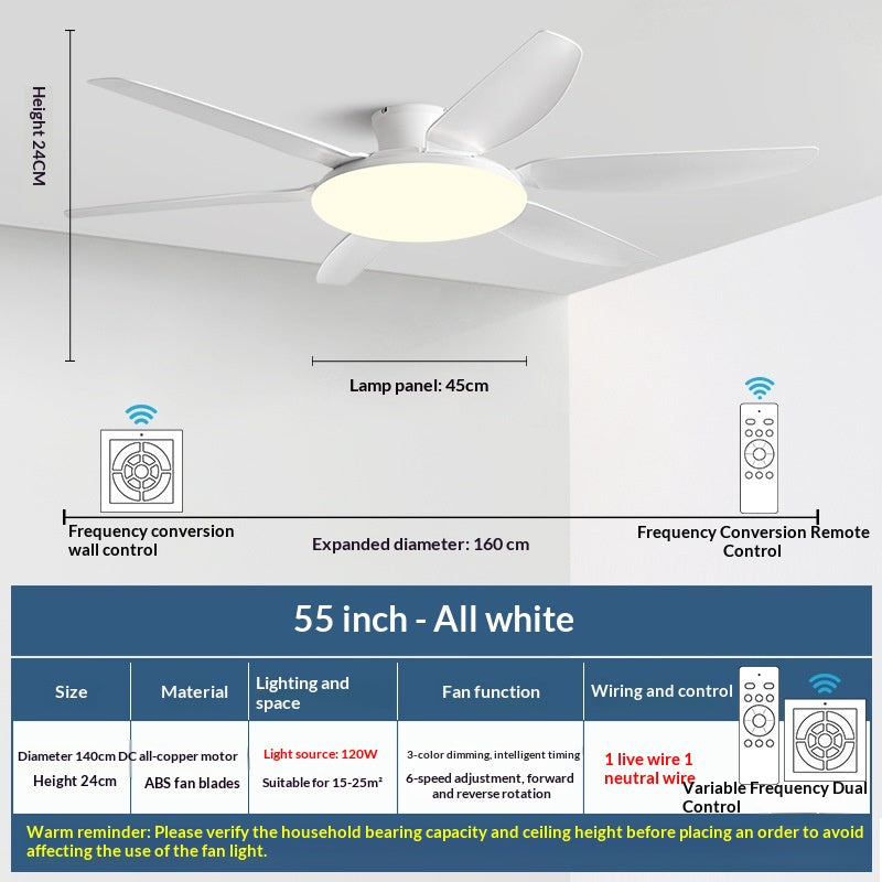 AeroGlow Modern Ceiling Fan Light