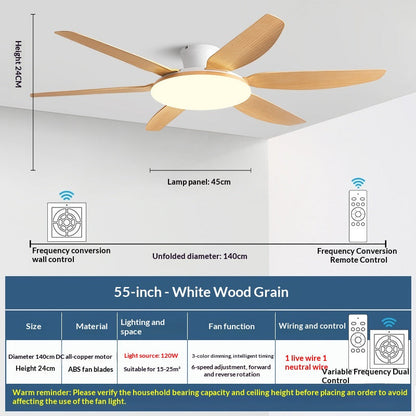 AeroGlow Modern Ceiling Fan Light