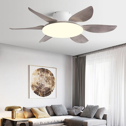 AeroGlow Modern Ceiling Fan Light