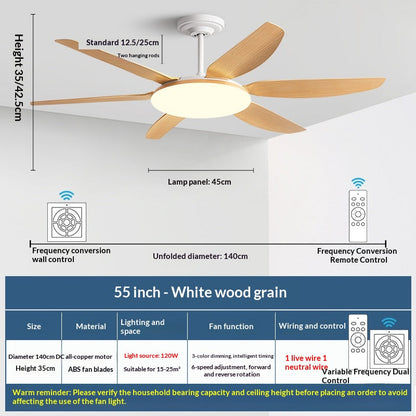 AeroGlow Modern Ceiling Fan Light