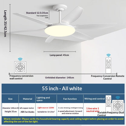 AeroGlow Modern Ceiling Fan Light
