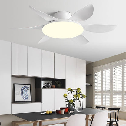 AeroGlow Modern Ceiling Fan Light