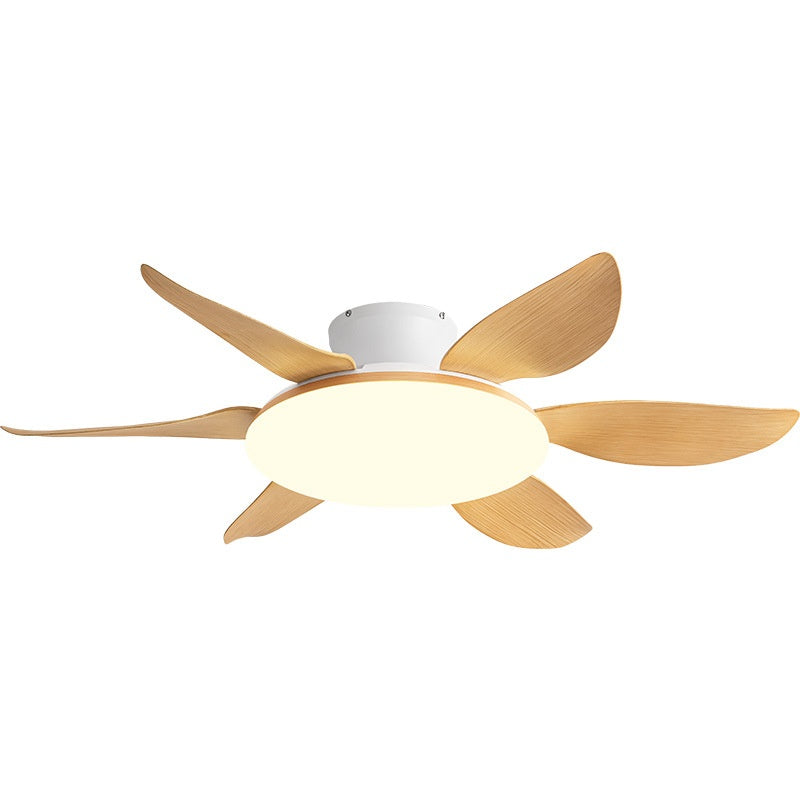 AeroGlow Modern Ceiling Fan Light