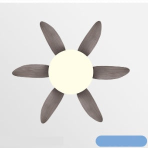 AeroGlow Modern Ceiling Fan Light