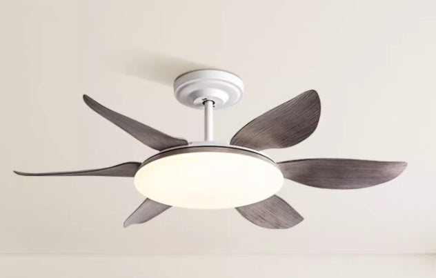 AeroGlow Modern Ceiling Fan Light