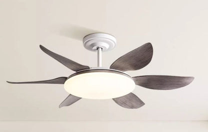AeroGlow Modern Ceiling Fan Light