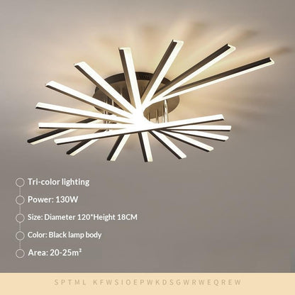PureLite Minimalist Flush Ceiling Lamp